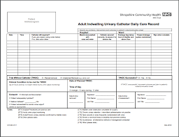 Foley Catheter Care Record Printable Medical Forms