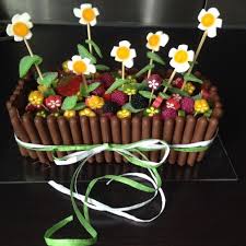 Gateau D Anniversaire Chat Gateau Jardiniere Gateau Anniversaire Enfant Idee Gateau Anniversaire
