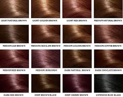 Medium Auburn Hair Color Chart Hair Color Ideas And Styles
