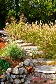 Clover and moss are good. 17 Landscaping Ideas For A Low Maintenance Yard