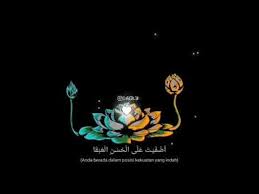 Ada beberapa gambar bunga terindah dan terunik yang tersebar didunia. Psht Sedati Mekarlah Bunga Terate Psht Perhutani Youtube