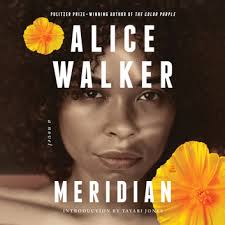 Meridian Audiobook by Alice Walker