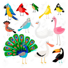 Vogel Tropisch Und Exotisch Zeichnende Gesetzte Vektorillustration Papagei Und Tukan Des Wilden Vogels Mit Dem Grossen Schnabel Pfau Und Flamingo Wiedehopf Und Schwan Lizenzfrei Nutzbare Vektorgrafiken Clip Arts Illustrationen Image 94935034