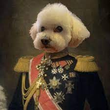 If the rooms are filled, the concierge is able to assist in arranging. The Pet Spa Home Facebook