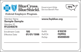 Check spelling or type a new query. Https Www Ibx Com Pdfs Providers Claims And Billing Bluecard Guide Blue Member Id Cards Pdf