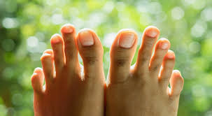 Types of feet: The Greek foot - Complete Guide