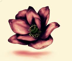 Search for flowers with us. Pasos Sencillos Para Pintar Flores Coloridas Por Sereni Clip Studio Tips