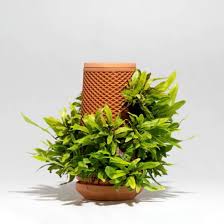 Terraplanter L Innovation Dans Les Plantes Calendrier Jardinage Pot Jardin Jardinage En Floride