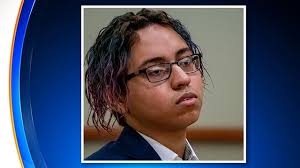 Bronx School Stabbing Suspect Says He Was Bullied For Years, Punched  Repeatedly Before Pulling Knife