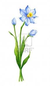Pin By Becky Bailey On For A Tattoo Daffodil Flower Tattoos December Flower Tattoo Birth Flower Tattoos