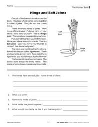 Have children paste the bones of the skeletal system on the body worksheet. Skeletal Muscular Systems Science Reading Comprehension By Remedia