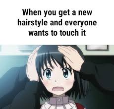 Pin On Funny Anime Memes