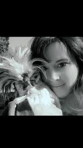 What are your favorite summer activities?