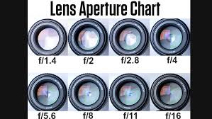 What Is Aperture How When And Why To Use Aperture