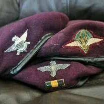 Pin By Marcio Felicio On Sadf Parabats Army Day Military Insignia Airborne Ranger