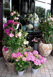 Bordeaux The Beautiful European Flower Shops Freesia Flowers Flowers Most Beautiful Flowers
