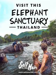 Thailand Travel Guides Tips Salt In Our Hair Blog Thailand Travel Tips Thailand Vacation Elephant Sanctuary Thailand