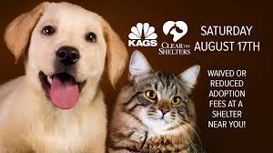 View available dogs, cats, rabbits, horses and more. Clear The Shelters Bryan College Station Kgw Com