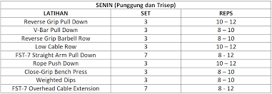 Misalnya anda sanggup latihan secara ketat, dapat menyusun jadwal menjadi 4 kali seminggu pada jam tertentu. 5 Program Muscle Building Terbaik Sfidn Science From Indonesia Articles