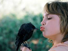 Op de groei gemaakt en bekeken