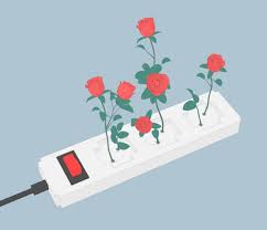 As a courtesy please the anime source either in the title or a comment. Red Rose Aesthetic Gif