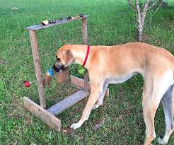 The Spin Out Game Hours Of Fun For Dogs Raccoons And Other Animals Dogs Dog Enrichment Dog Minding