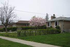 Westside long term care home is located in rexdale, ontario. Rexdale Wikipedia