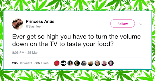 A busybody is a person who constantly wants to know about or interfere in the details of other people's lives. 21 Funny High Tweets From People Who Smoke Too Much Weed