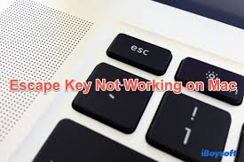 Why Is My Esc Key Not Working On Mac And Windows 11/10? – Safe Mode