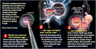 Image result for illuminati cloning stations