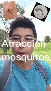 Edgar Pardo (@edgar.pardo22)