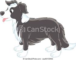 Avertissement je tiens à être clair. Border Collie Vector Illustrations Of A Black And White Border Collie In Profile Canstock