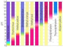 Ph Indicator Chart Cells Activity Common Core Science