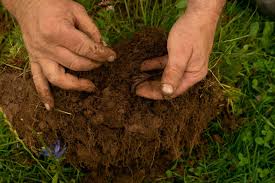 How is biochar being used to improve soil fertility and sequester carbon in agricultural lands?