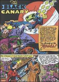 Dinah laurel lance is black canary, one of the world's foremost martial artists. The Black Canary Bird Of Prey Buds Art Books