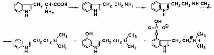 Image result for Psilocybin SYNTHESIS
