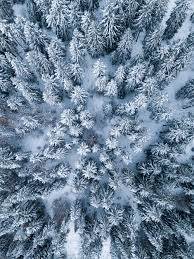 We would like to show you a description here but the site won't allow us. Ipad Wallpapers 88 Best Free Ipad Wallpaper Wallpaper Background And Ipad Background Photos On Unsplash