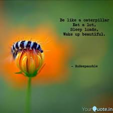 Aplikasi pembuat quotes bisa jadi solusi buat kamu mau dapat banyak like di instagram. Be Like A Caterpillar Eat Quotes Writings By Sudeepa Kolli Yourquote