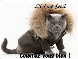 RÃ©sultat de recherche d'images pour "gif animÃ© froid de canard"