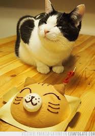 Resultado de imagen para feliz cumpleaños con gatos