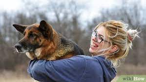 Jul 12, 2021 · stocks ended lower friday, giving up initial gains after a consumer survey showed inflation fears were on the rise. How To Make A Dog Love You 12 Steps With Pictures Wikihow