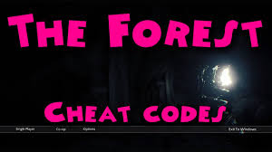 Precc c to display stats, f3 to turn it on or off. The Forest Cheat Codes Youtube