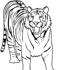 Lion Color Page Tiger Color Page Plate Coloring Sheet Tiger Colouring Page Wild Animal In 2020 Zoo Animal Coloring Pages Animal Coloring Pages Tiger Drawing For Kids