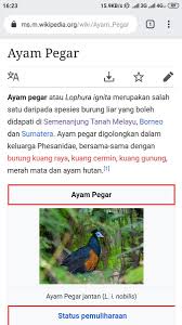Keadaan sedikit mencurigakan apabila ramai pemenang berasal dari florida. Ajibsaurus Pa Twitter Harapkan Pegar Pegar Makan Padi