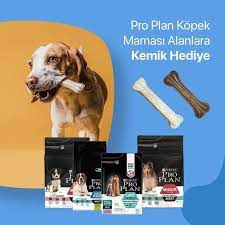 proplan kopek mamalari kopek kopek oyuncaklari kopek aksesuarlari
