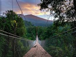 Inilah Jembatan Gantung Situ Gunung Sukabumi Yang Menakjubkan Kota Sukabumi Tempat Jembatan Gantung