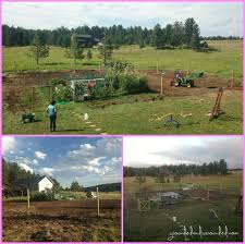 When planning a vegetable garden it's all too easy to jump in with both feet and try to grow as much as possible in the first year. 5 000 Sq Ft Vegetable Garden Plan Happihomemade With Sammi Ricke