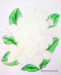 Showing posts with label cara mewarnai kaligrafi yang bagus dengan crayon. Menggambar Bunga Kamboja Menggunakan Pensil Warna