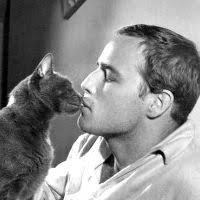 NANCY PAZOS LE CERRÓ LA BOCOTA A LA COTORRA LIBERTARIA DE MARIANA BRE...