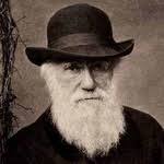 Charles Darwin a magyar Wikipédián · Moly
